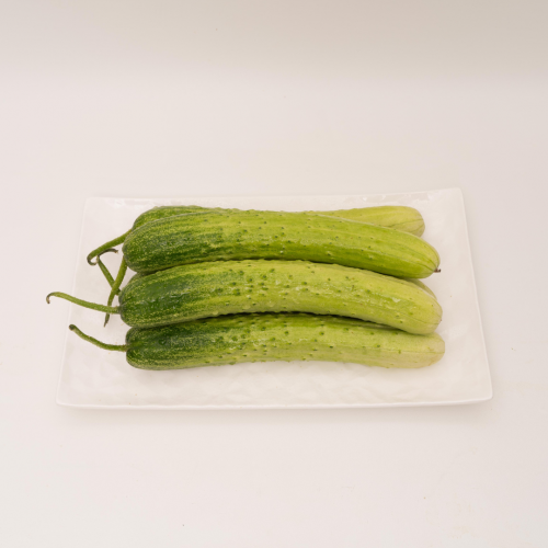 V20. Dưa chuột 1pack