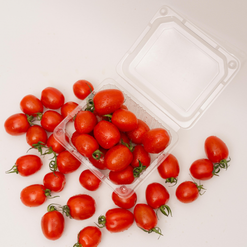 V22. cà chua bi 1pack