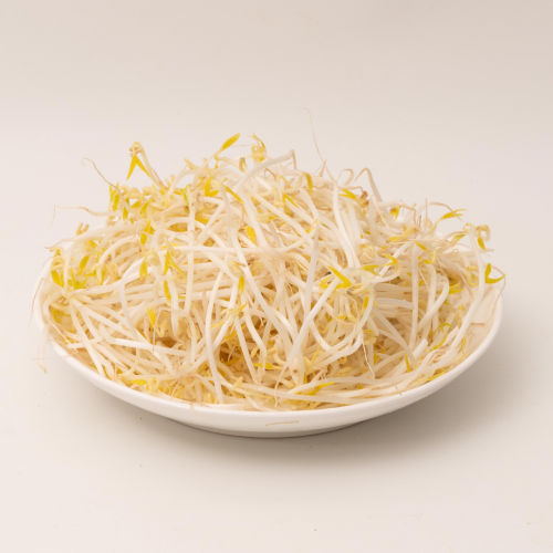 V37. Giá đỗ 1pack