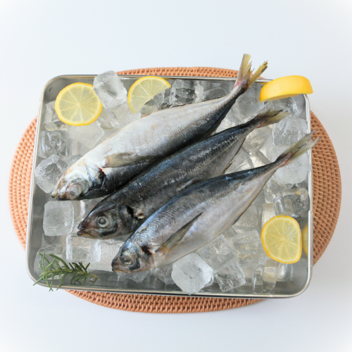 SE03-3.cá nục ◆3kg◆