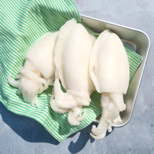 SE12. mực nang to ★BIG★ 1pack