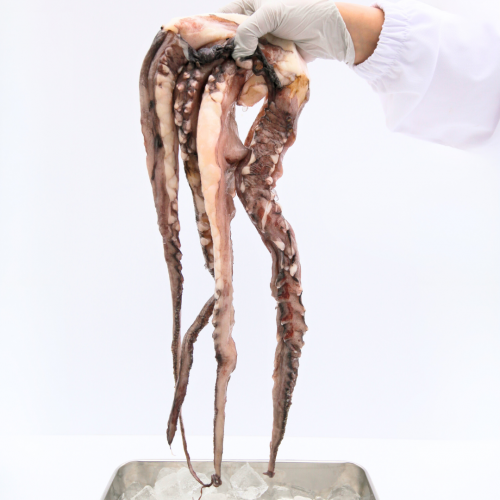 SE17. râu mực 1kg